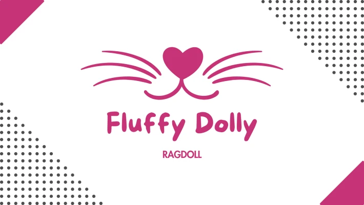 Chatterie Ragdoll Fluffy Dolly